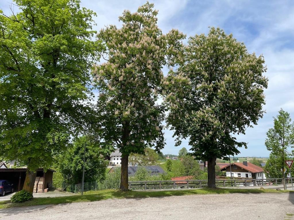 Ferienwohnung Meridiana Tuntenhausen Exterior photo